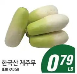 Joong Boo Market JEJU RADISH offer
