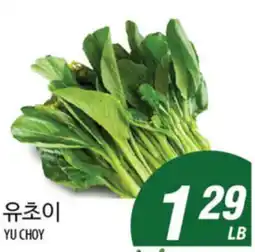 Joong Boo Market YU CHOY offer