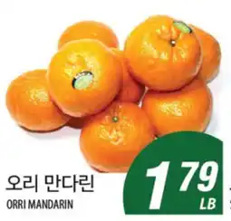 Joong Boo Market ORRI MANDARIN offer