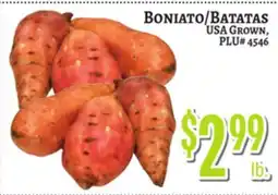 Trade Fair Supermarket Boniato offer