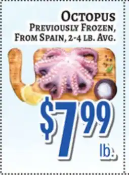 Trade Fair Supermarket Octopus offer