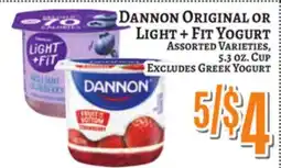 Trade Fair Supermarket Dannon Original Or Light + Fit Yogurt offer