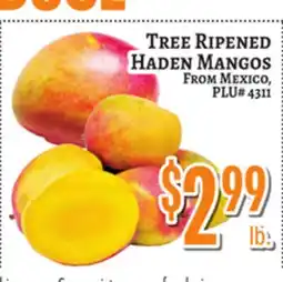 Trade Fair Supermarket TREE RIPENED HADEN MANGOS offer