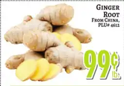 Trade Fair Supermarket GINGER ROOT offer
