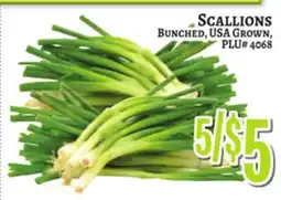 Trade Fair Supermarket SCALLIONS offer