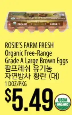 Hmart ROSIE'S FARM FRESH Organic Free-Range Grade A Large Brown Eggs offer
