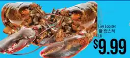 Hmart Live Lobster offer