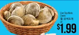 Hmart Live Top Neck Clams offer