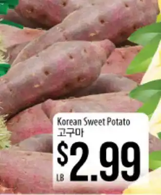 Hmart Korean Sweet Potato offer