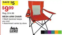 Dunham's Sports WFS MESH ARM CHAIR offer