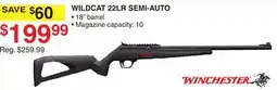 Dunham's Sports WILDCAT 22LR SEMI-AUTO offer