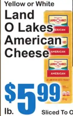 SuperFresh Land O Lakes American Cheese offer