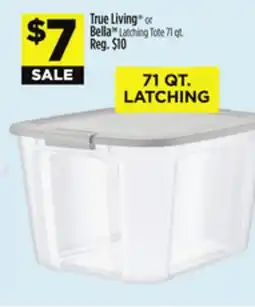 Dollar General True Living or Bella Latching Tote offer