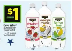 Dollar General Clover Valley Sparkling Water offer