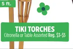 Dollar General TIKI TORCHES offer