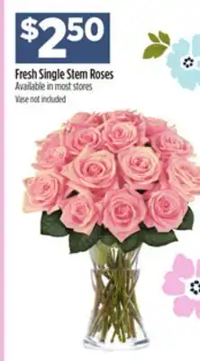 Dollar General Fresh Single Stem Roses offer
