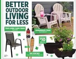 Dollar General TRUE LIVING SLING CHAIR offer