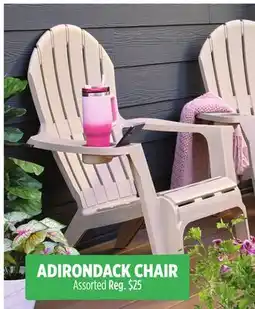 Dollar General ADIRONDACK CHAIR offer