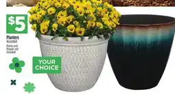 Dollar General Planters offer