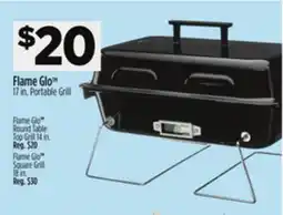 Dollar General Flame Glo 17 in. Portable Grill offer