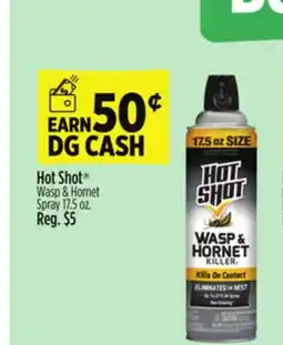 Dollar General Hot Shot Wasp & Hornet Spray offer