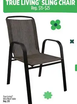 Dollar General TRUE LIVING SLING CHAIR offer