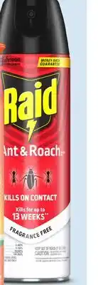 Target Raid 17.5-oz. ant & roach killer spray offer
