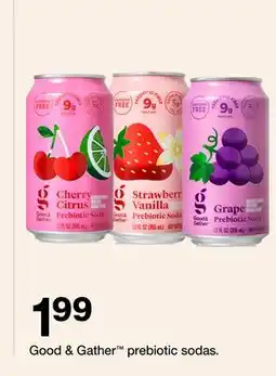 Target Good & Gather prebiotic sodas offer