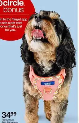 Target Hooray House daisy dog harness offer