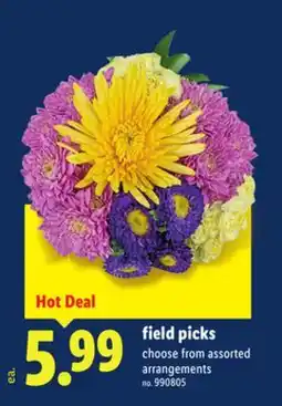 Lidl field picks offer