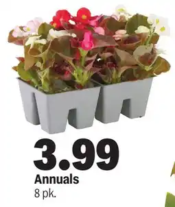 Meijer Annuals offer