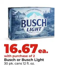 Hy-Vee Busch or Busch Light offer