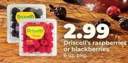 Hy-Vee Driscoll's raspberries or blackberries offer