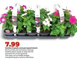 Hy-Vee Jumbo 6 pack annual assortment offer