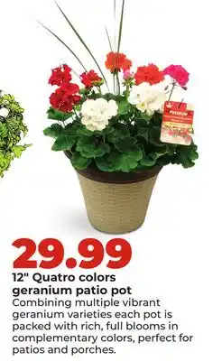 Hy-Vee 12 Quatro colors geranium patio pot offer