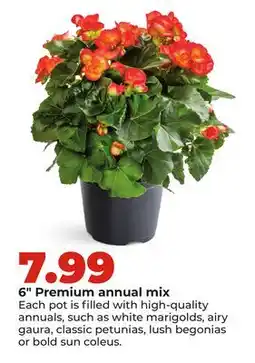 Hy-Vee 6 Premium annual mix offer