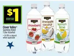 Dollar General Clover Valley Sparkling Water offer
