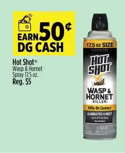 Dollar General Hot Shot Wasp & Hornet Spray 17.5 oz offer