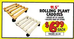 Ollie's 11.5 ROLLING PLANT CADDIES offer