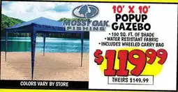 Ollie's MOSSY OAK 10' X 10' POPUP GAZEBO offer