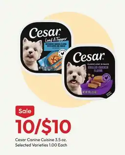Stater Bros Cesar Canine Cuisine offer