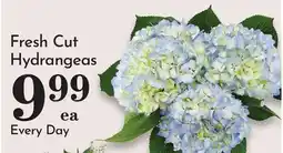 Pavilions Fresh Cut Hydrangeas offer