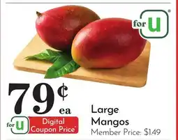 Pavilions Large Mangos offer