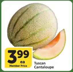 Vons Tuscan Cantaloupe offer