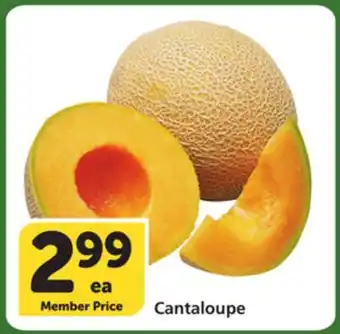 Vons Cantaloupe offer