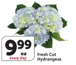 Vons Fresh Cut Hydrangeas offer