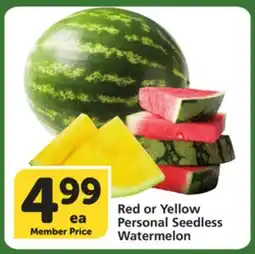 Vons Red or Yellow Personal Seedless Watermelon offer