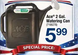 Ace Hardware Ace 2 Gal. Watering Can offer