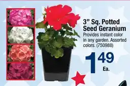 Ace Hardware 3 Sq. Potted Seed Geranium offer