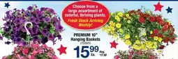 Ace Hardware PREMIUM 10 Hanging Baskets offer